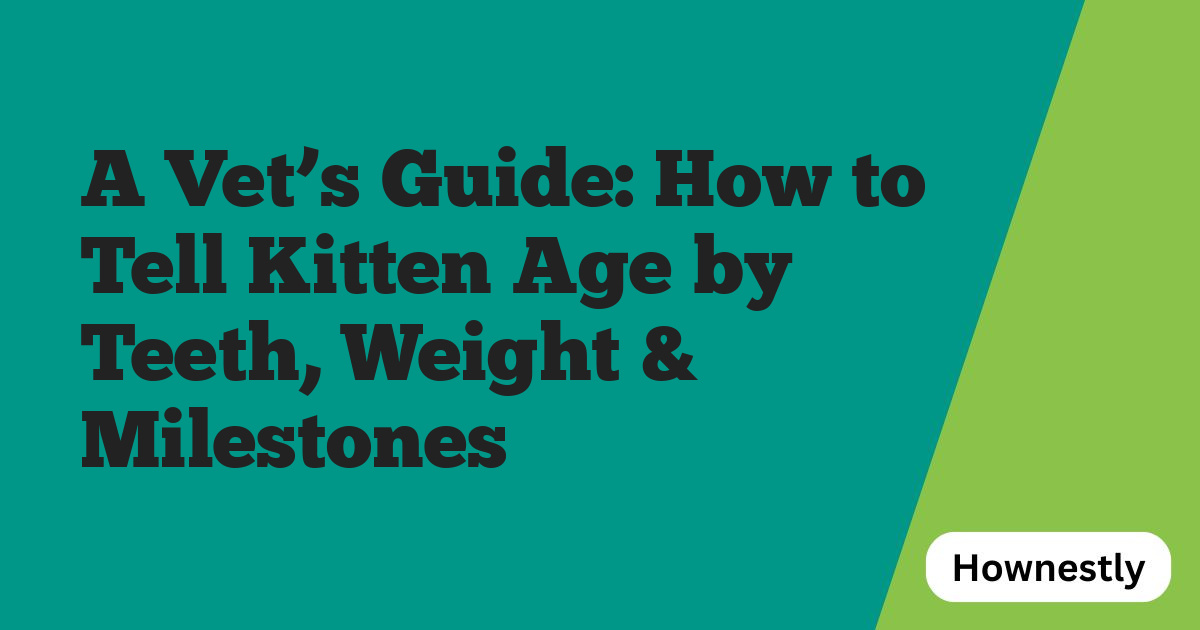 A Vet’s Guide: How to Tell Kitten Age by Teeth, Weight & Milestones