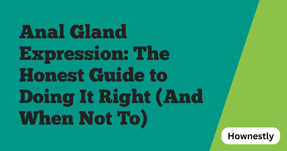 Anal Gland Expression: The Honest Guide to Doing It Right (And When Not To)