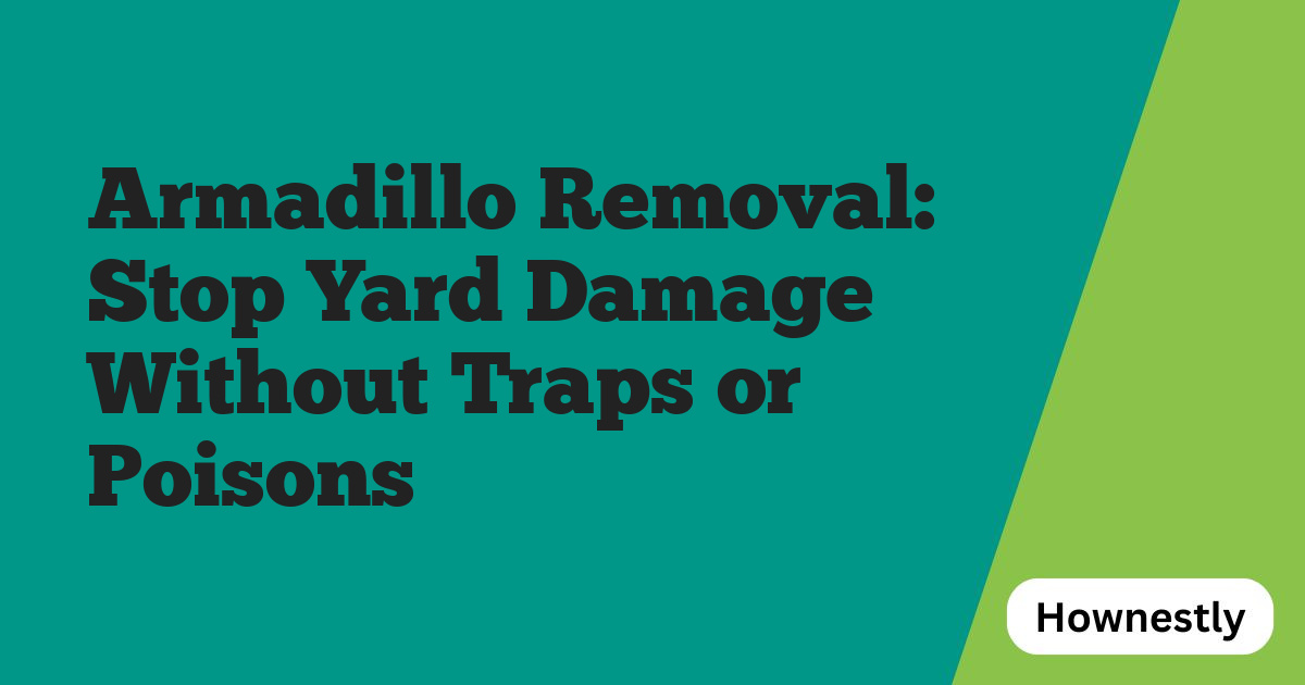 Armadillo Removal: Stop Yard Damage Without Traps or Poisons