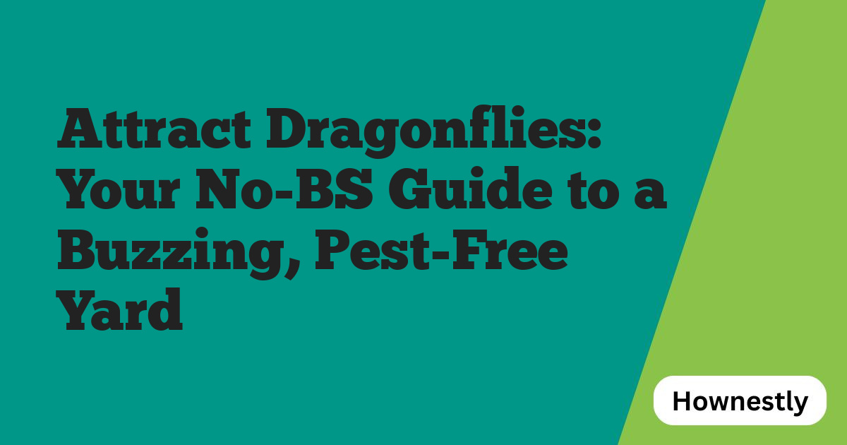 Attract Dragonflies: Your No-BS Guide to a Buzzing, Pest-Free Yard