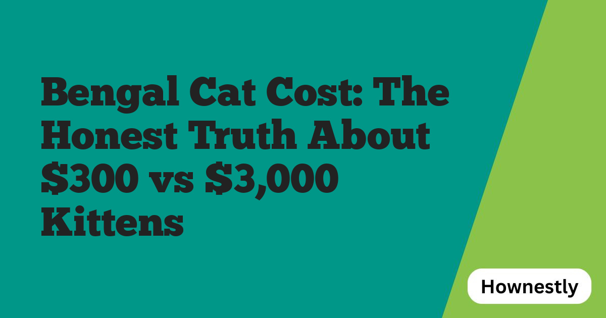 Bengal Cat Cost: The Honest Truth About ​$300 vs ​$3,000 Kittens
