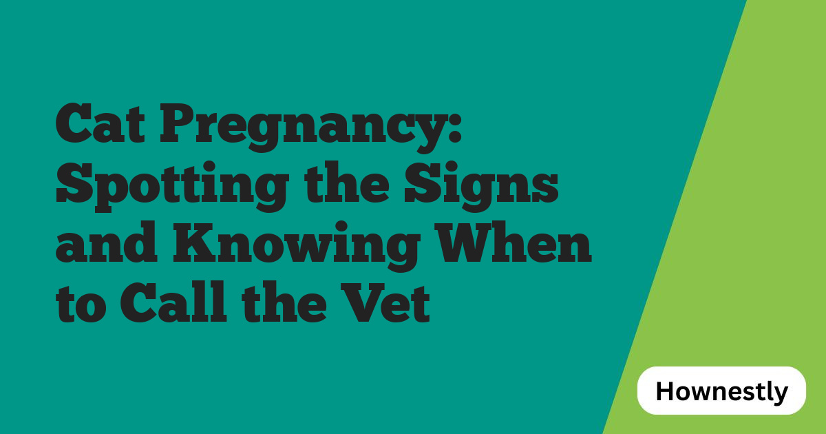Cat Pregnancy: Spotting the Signs and Knowing When to Call the Vet
