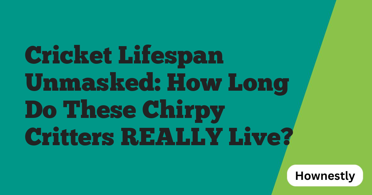 Cricket Lifespan Unmasked: How Long Do These Chirpy Critters REALLY Live?