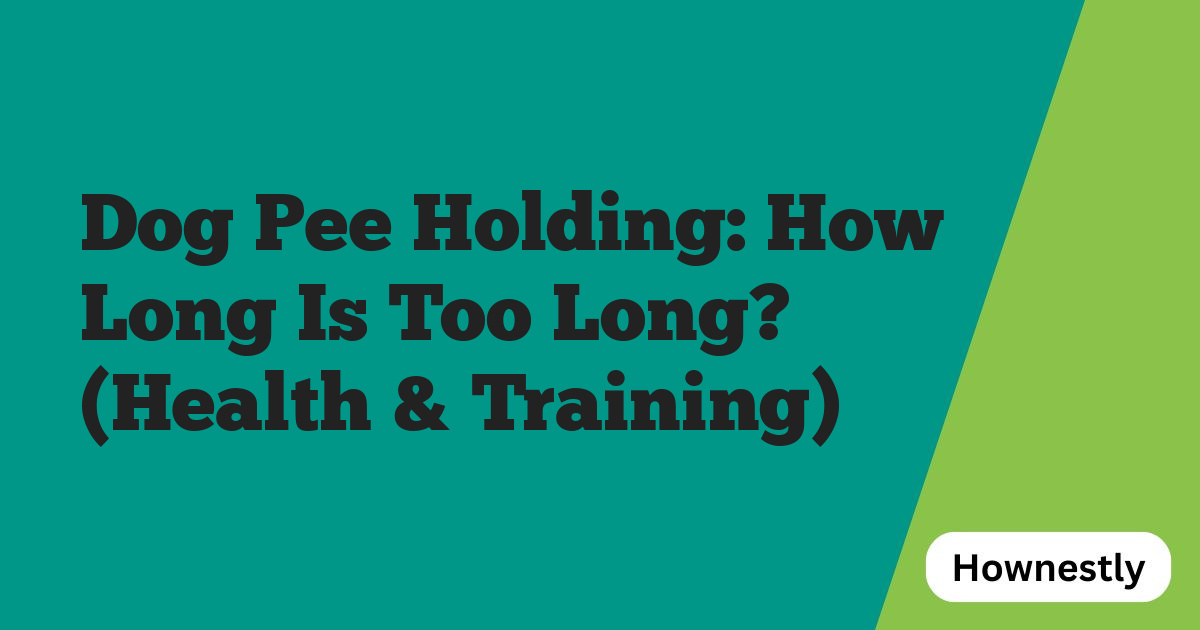 Dog Pee Holding: How Long Is Too Long? (Health & Training)