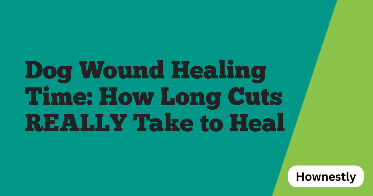 Dog Wound Healing Time: How Long Cuts REALLY Take to Heal