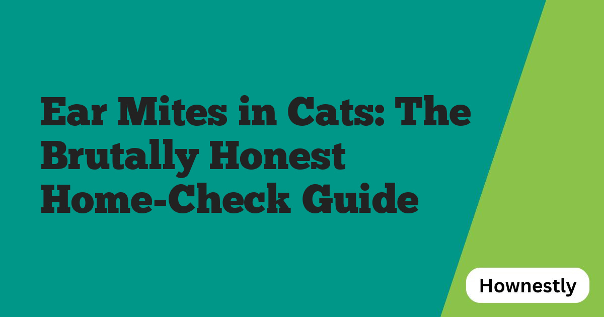 Ear Mites in Cats: The Brutally Honest Home-Check Guide