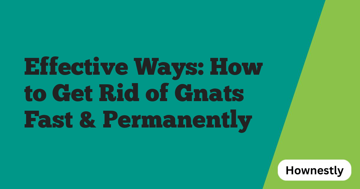 Effective Ways: How to Get Rid of Gnats Fast & Permanently