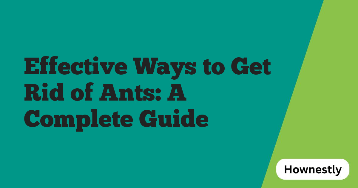 Effective Ways to Get Rid of Ants: A Complete Guide