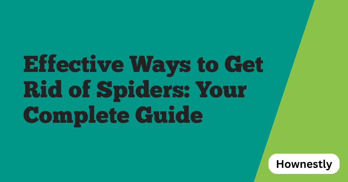 Effective Ways to Get Rid of Spiders: Your Complete Guide