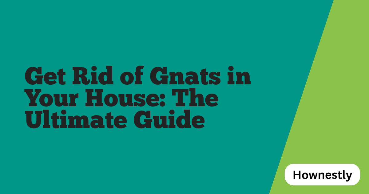 Get Rid of Gnats in Your House: The Ultimate Guide