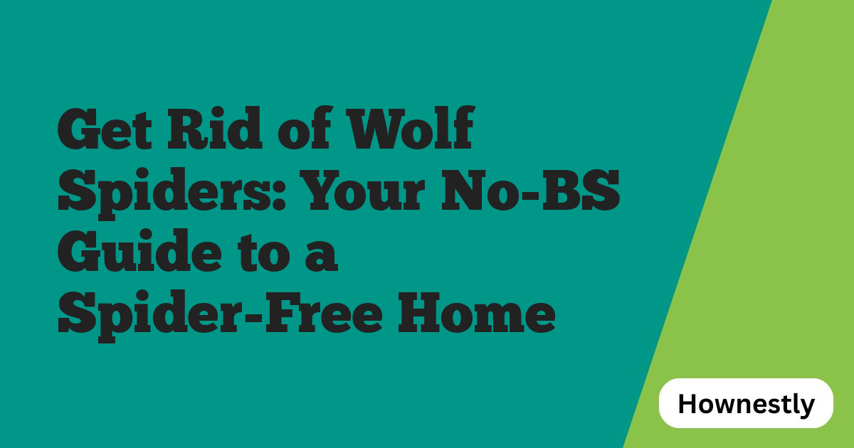 Get Rid of Wolf Spiders: Your No-BS Guide to a Spider-Free Home