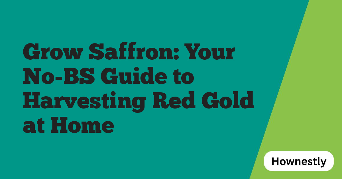 Grow Saffron: Your No-BS Guide to Harvesting Red Gold at Home