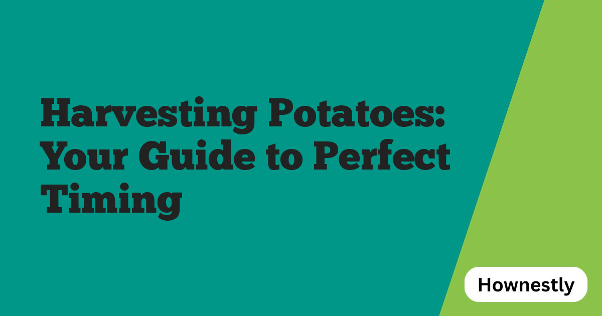 Harvesting Potatoes: Your Guide to Perfect Timing
