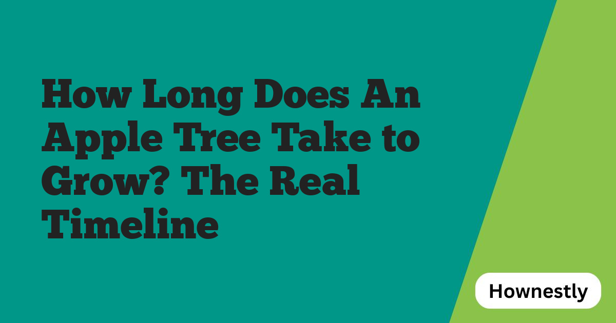 How Long Does An Apple Tree Take to Grow? The Real Timeline