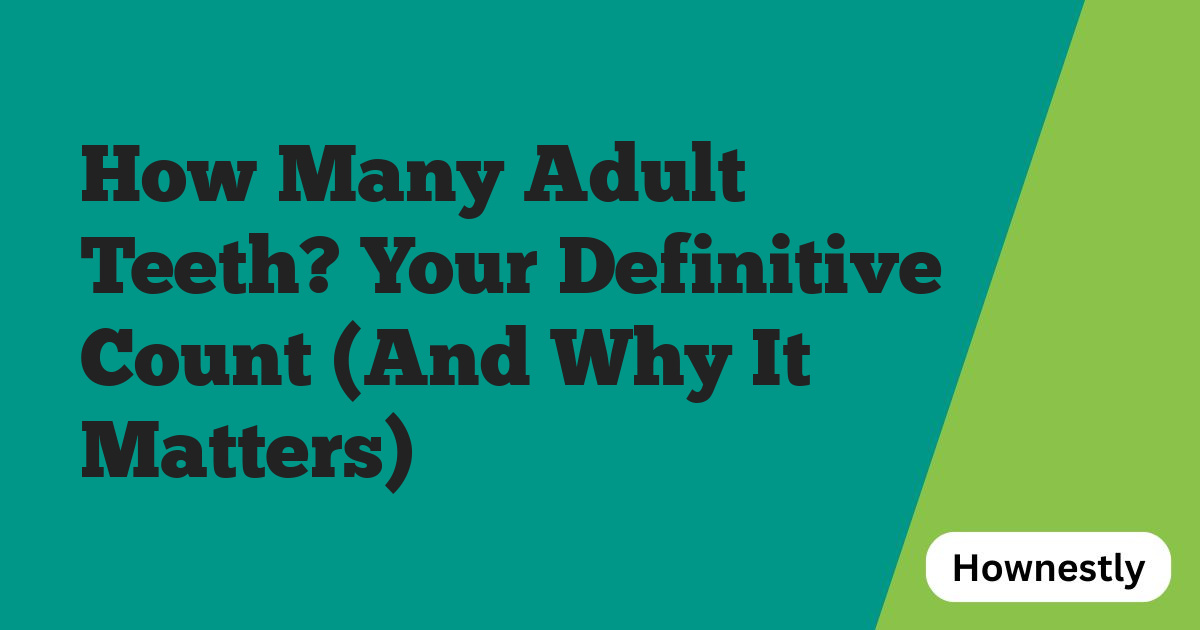 How Many Adult Teeth? Your Definitive Count (And Why It Matters)