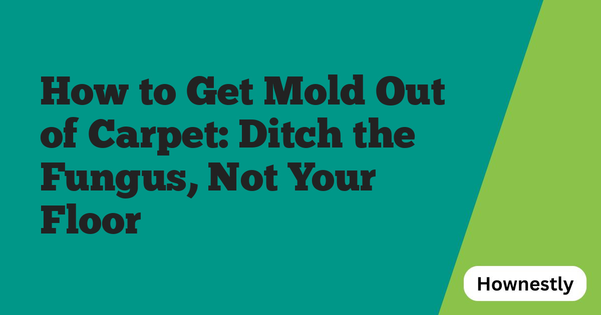 How to Get Mold Out of Carpet: Ditch the Fungus, Not Your Floor