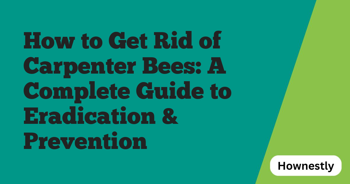 How to Get Rid of Carpenter Bees: A Complete Guide to Eradication & Prevention