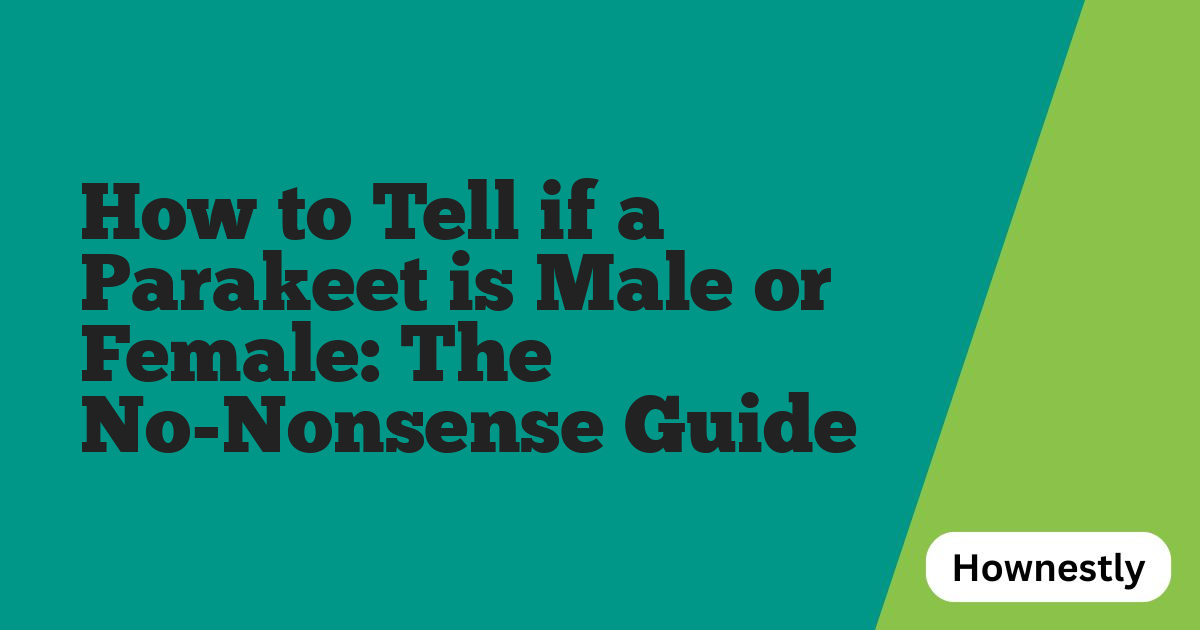 How to Tell if a Parakeet is Male or Female: The No-Nonsense Guide
