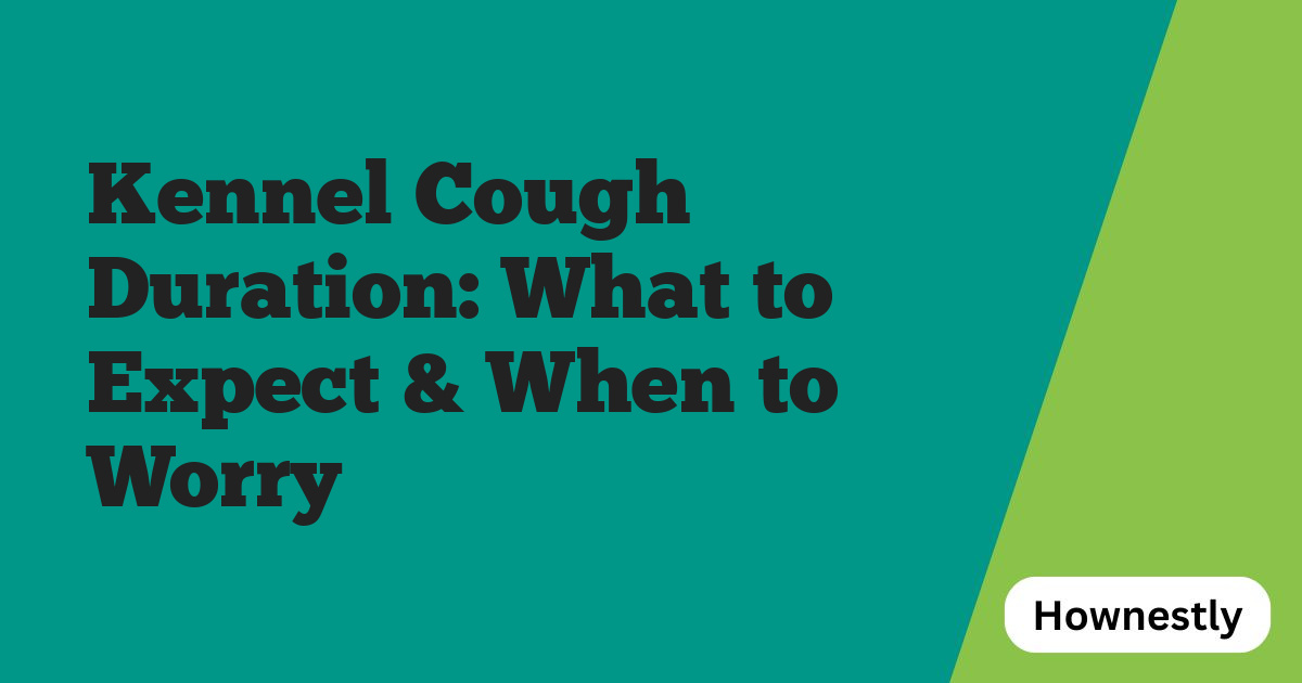 Kennel Cough Duration: What to Expect & When to Worry
