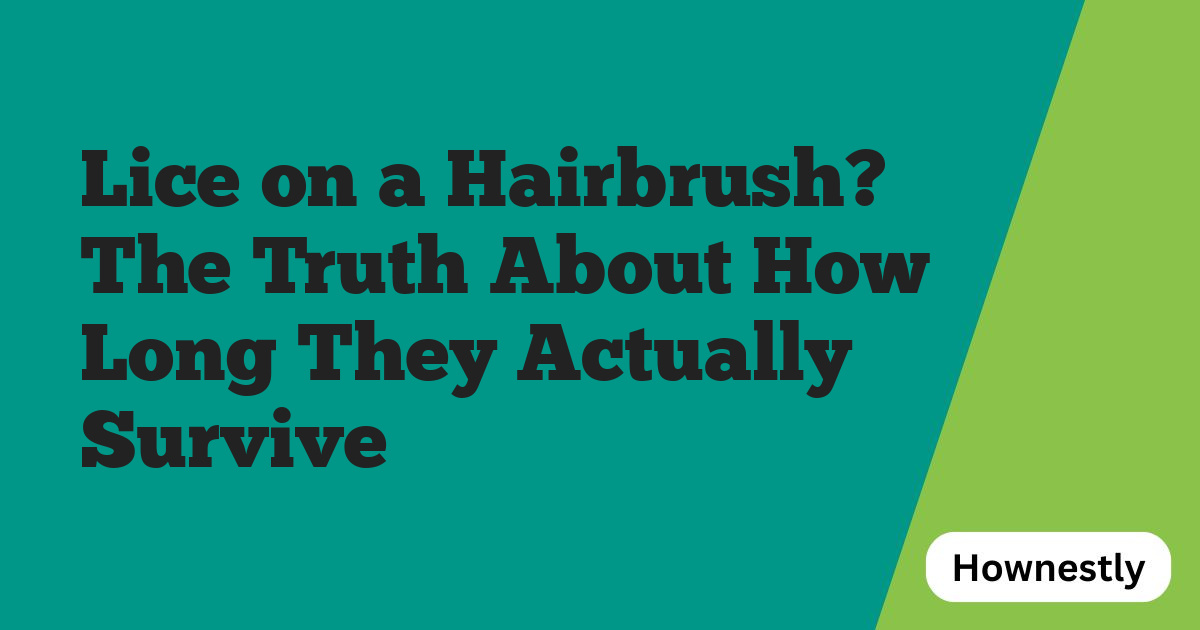Lice on a Hairbrush? The Truth About How Long They Actually Survive