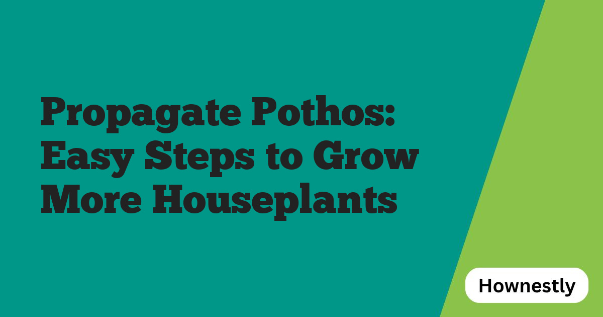 Propagate Pothos: Easy Steps to Grow More Houseplants