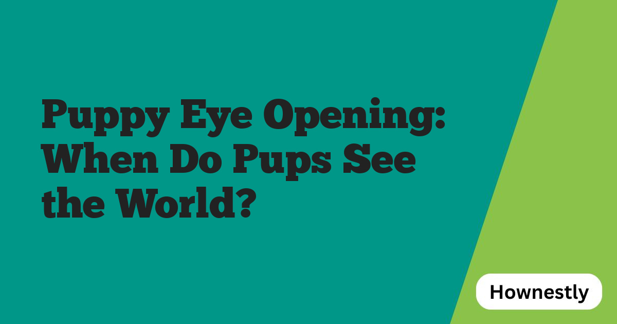 Puppy Eye Opening: When Do Pups See the World?