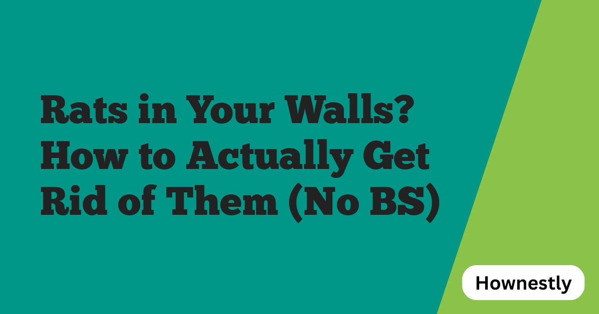 Rats in Your Walls? How to Actually Get Rid of Them (No BS)