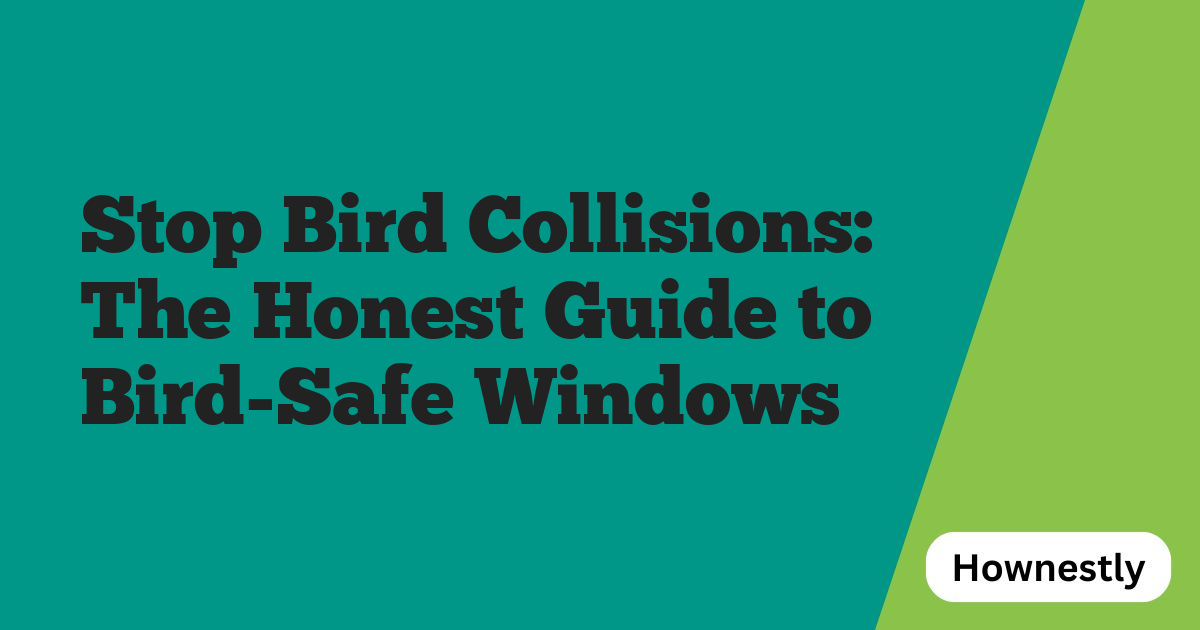 Stop Bird Collisions: The Honest Guide to Bird-Safe Windows
