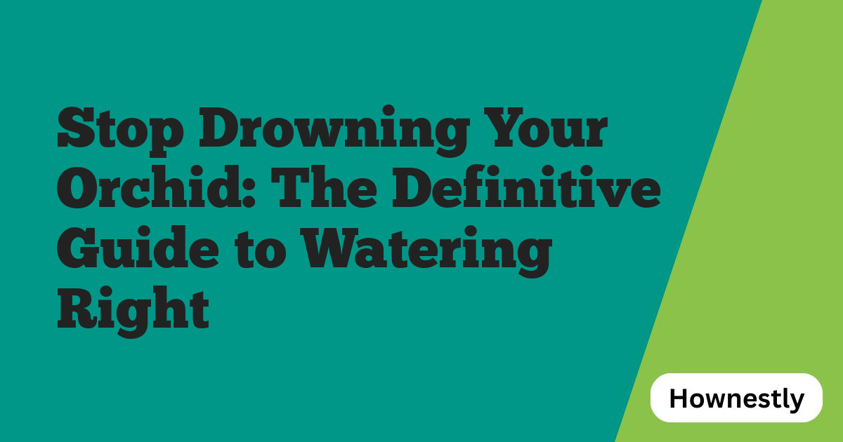 Stop Drowning Your Orchid: The Definitive Guide to Watering Right