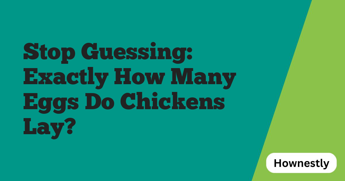 Stop Guessing: Exactly How Many Eggs Do Chickens Lay?