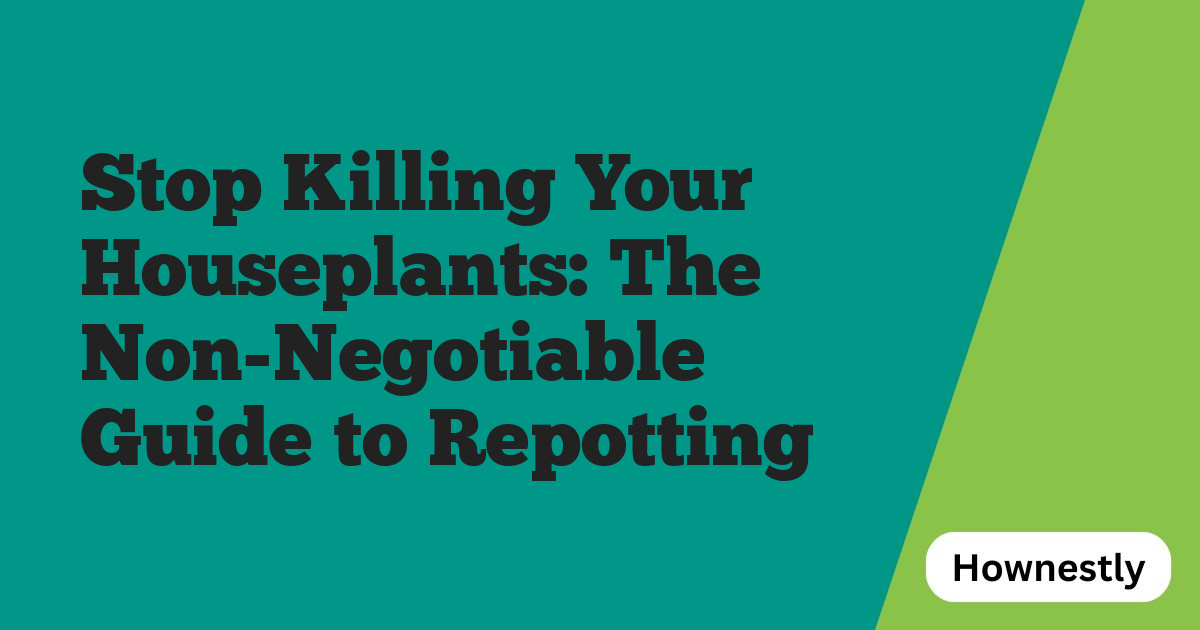 Stop Killing Your Houseplants: The Non-Negotiable Guide to Repotting