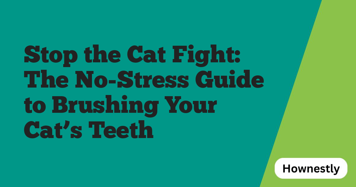 Stop the Cat Fight: The No-Stress Guide to Brushing Your Cat’s Teeth