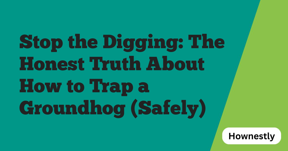 Stop the Digging: The Honest Truth About How to Trap a Groundhog (Safely)