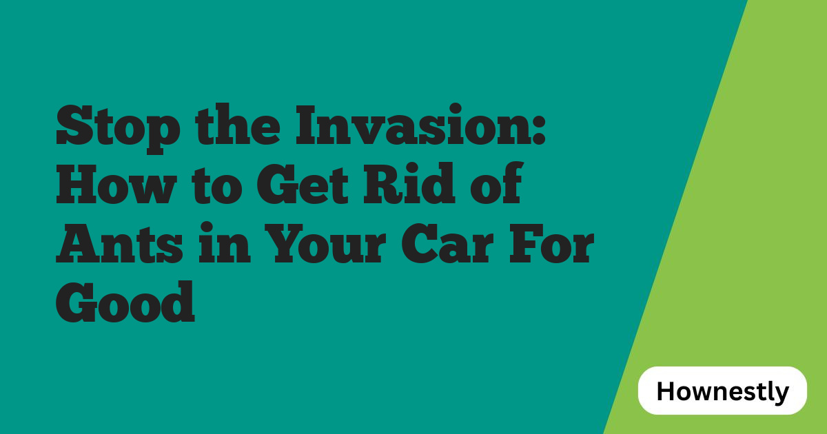 Stop the Invasion: How to Get Rid of Ants in Your Car For Good