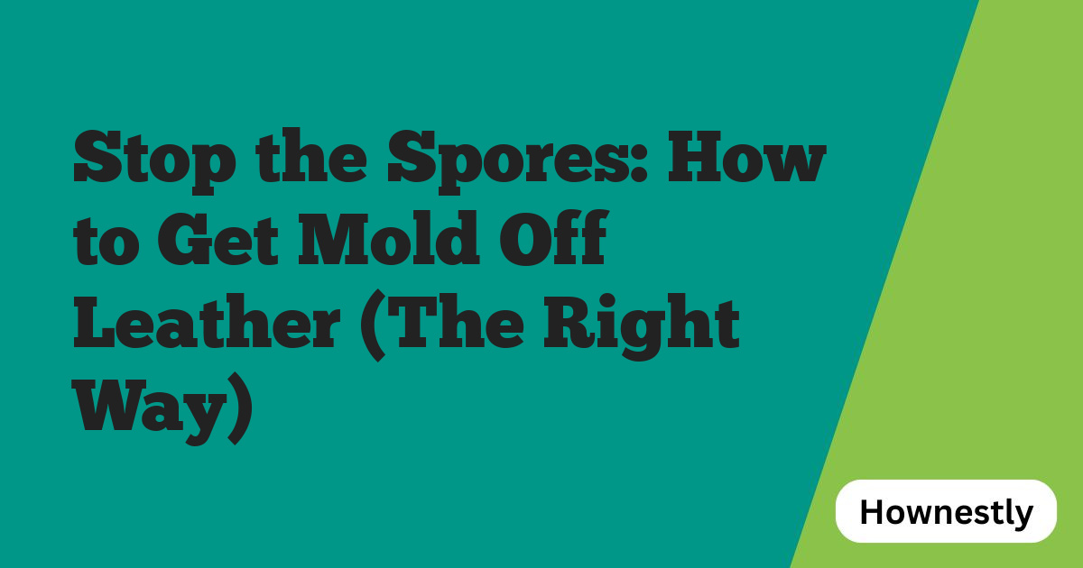 Stop the Spores: How to Get Mold Off Leather (The Right Way)