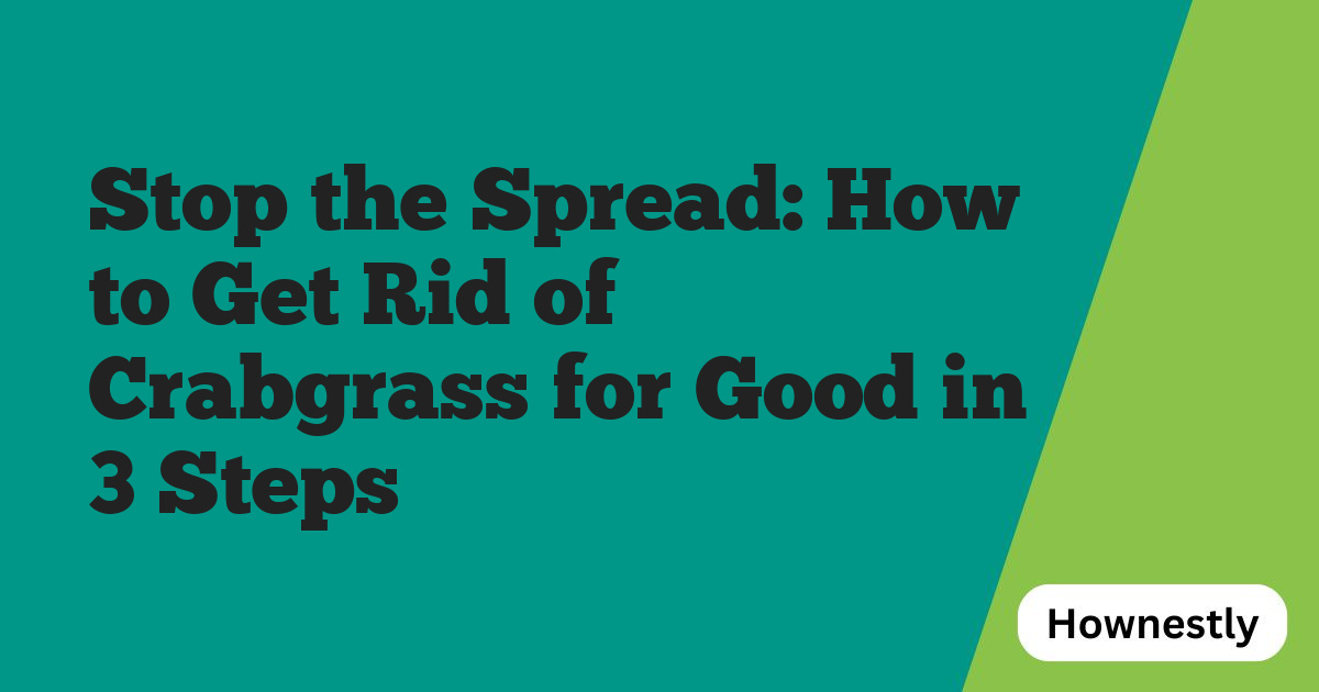 Stop the Spread: How to Get Rid of Crabgrass for Good in 3 Steps