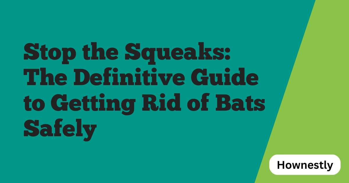 Stop the Squeaks: The Definitive Guide to Getting Rid of Bats Safely