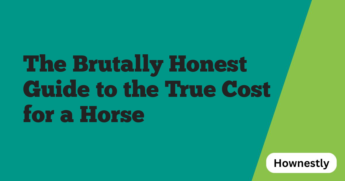 The Brutally Honest Guide to the True Cost for a Horse