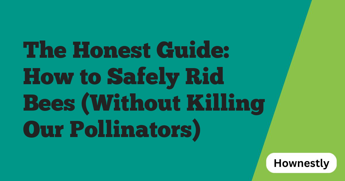 The Honest Guide: How to Safely Rid Bees (Without Killing Our Pollinators)