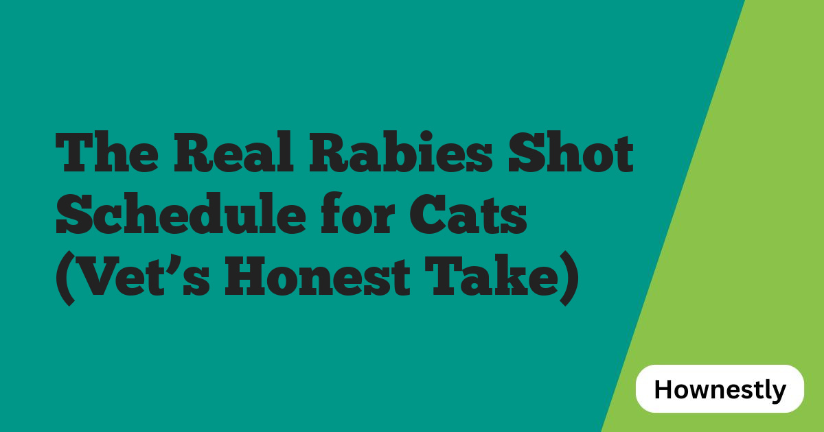 The Real Rabies Shot Schedule for Cats (Vet’s Honest Take)