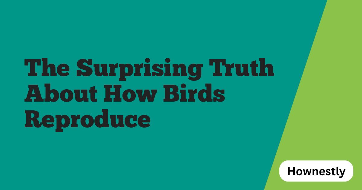 The Surprising Truth About How Birds Reproduce
