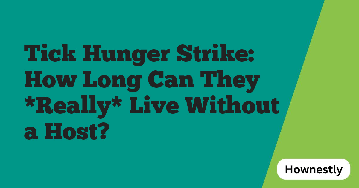 Tick Hunger Strike: How Long Can They *Really* Live Without a Host?