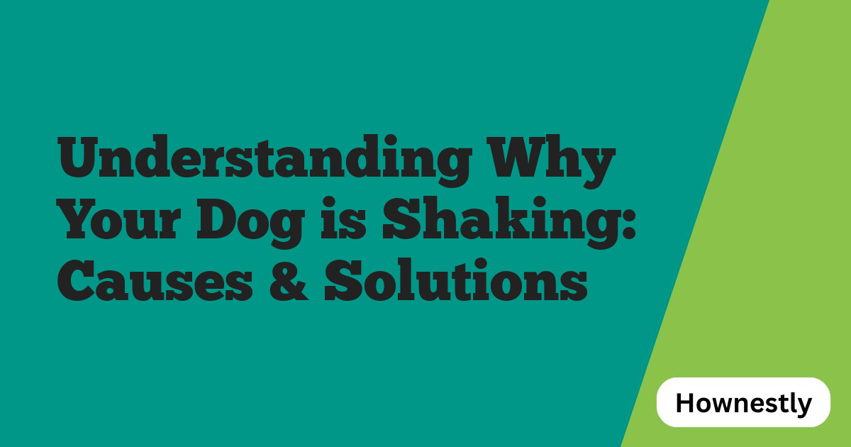 Understanding Why Your Dog is Shaking: Causes & Solutions