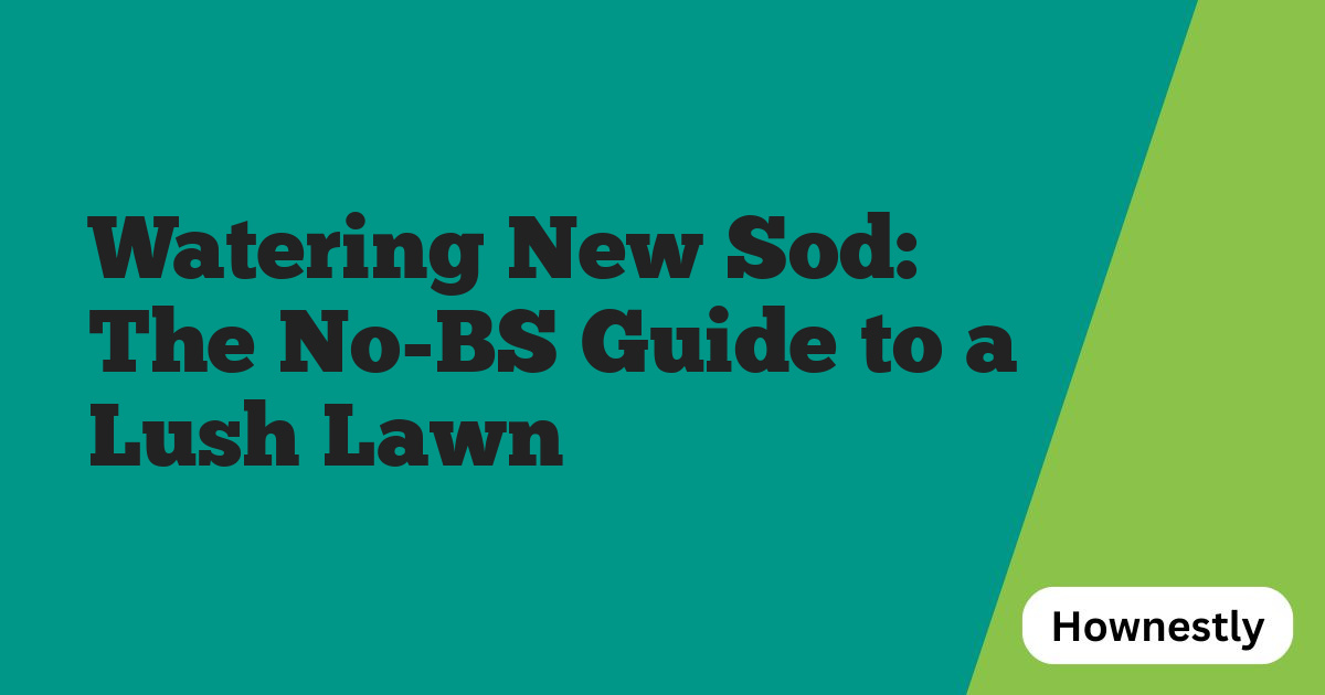 Watering New Sod: The No-BS Guide to a Lush Lawn