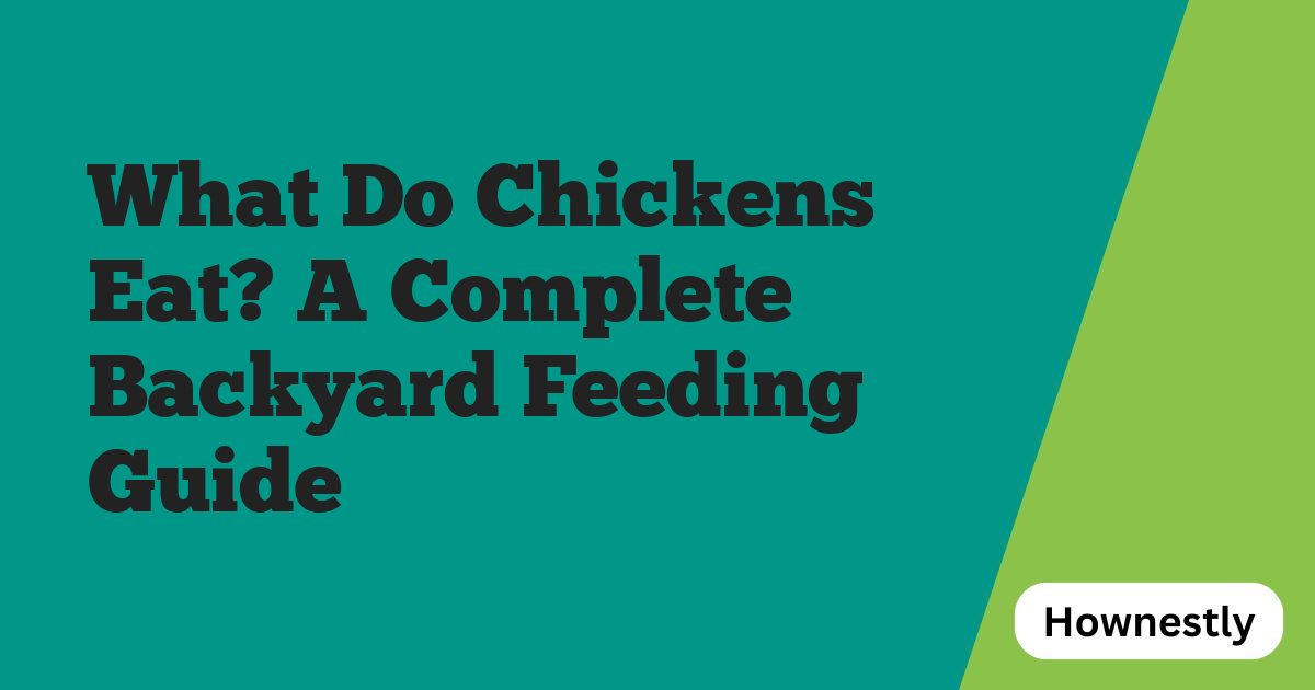 What Do Chickens Eat? A Complete Backyard Feeding Guide