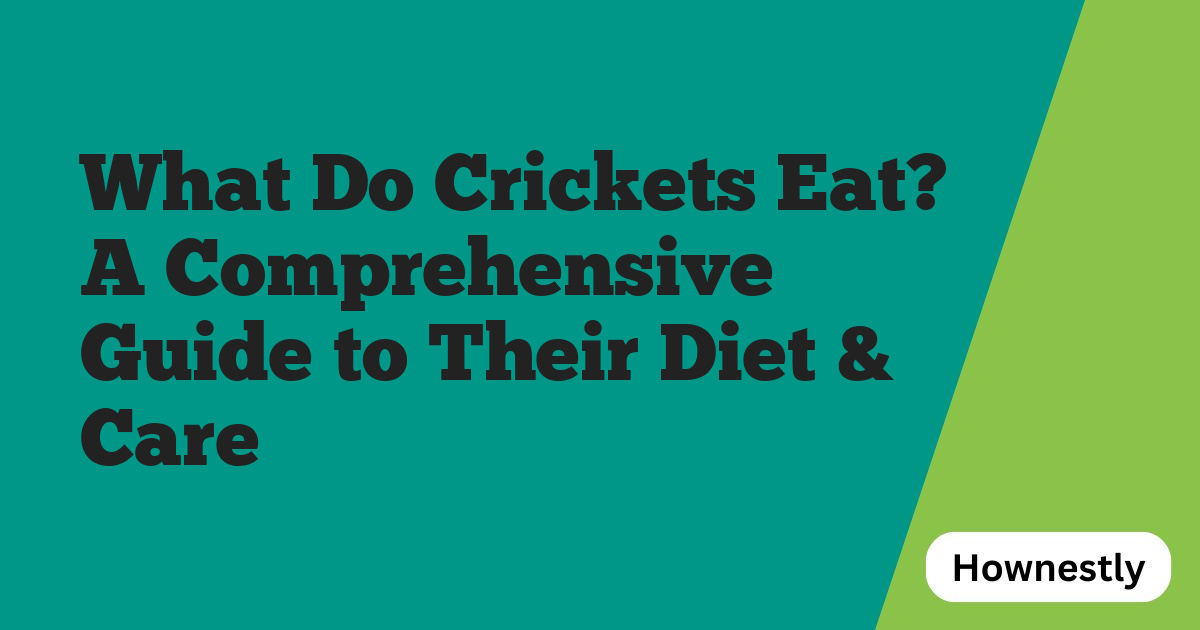 What Do Crickets Eat? A Comprehensive Guide to Their Diet & Care