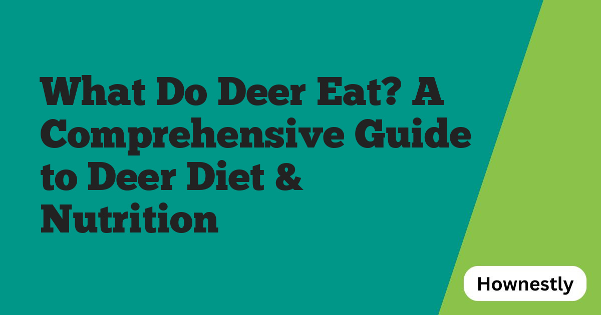 What Do Deer Eat? A Comprehensive Guide to Deer Diet & Nutrition