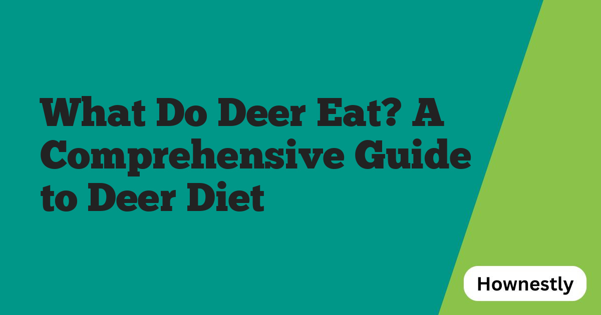 What Do Deer Eat? A Comprehensive Guide to Deer Diet