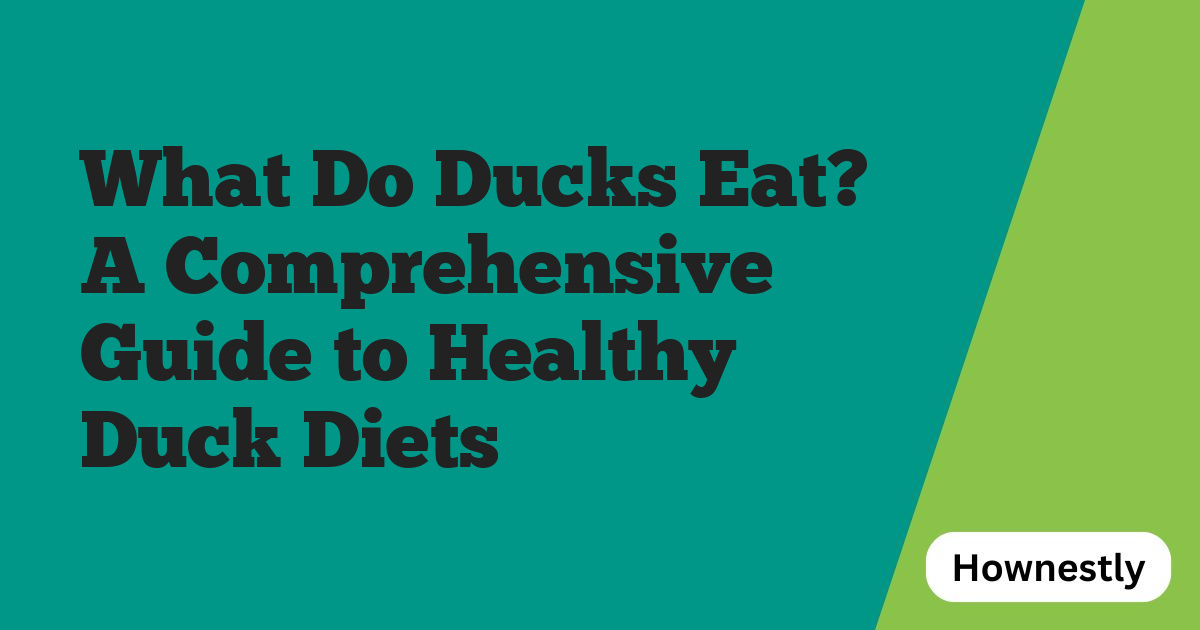 What Do Ducks Eat? A Comprehensive Guide to Healthy Duck Diets