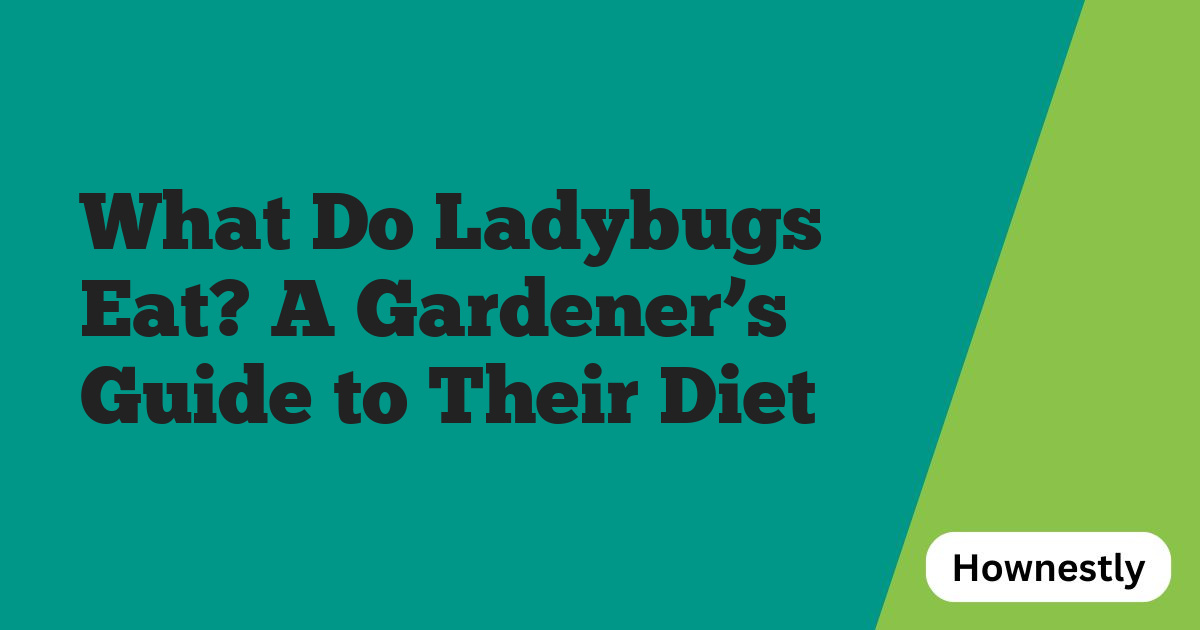 What Do Ladybugs Eat? A Gardener’s Guide to Their Diet